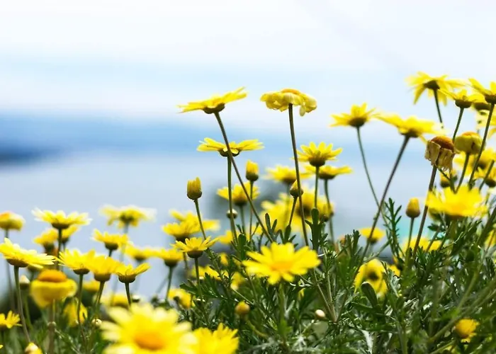 Mit Wasserblick By Interhome Апартаменты *